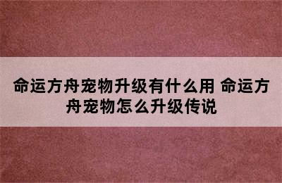 命运方舟宠物升级有什么用 命运方舟宠物怎么升级传说